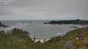 ./images/calvert/foggy-cove/20250604/foggy-cove20250604_145508M.jpg