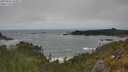 ./images/calvert/foggy-cove/20250604/foggy-cove20250604_150011M.jpg