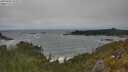 ./images/calvert/foggy-cove/20250604/foggy-cove20250604_150509M.jpg