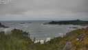 ./images/calvert/foggy-cove/20250604/foggy-cove20250604_151010M.jpg