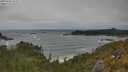 ./images/calvert/foggy-cove/20250604/foggy-cove20250604_151510M.jpg
