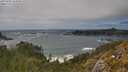 ./images/calvert/foggy-cove/20250604/foggy-cove20250604_154010M.jpg