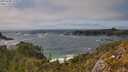./images/calvert/foggy-cove/20250604/foggy-cove20250604_155009M.jpg