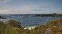 ./images/calvert/foggy-cove/20250604/foggy-cove20250604_155509M.jpg