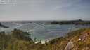 ./images/calvert/foggy-cove/20250604/foggy-cove20250604_164010M.jpg