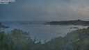 ./images/calvert/foggy-cove/20250605/foggy-cove20250605_045508M.jpg