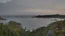 ./images/calvert/foggy-cove/20250605/foggy-cove20250605_055508M.jpg