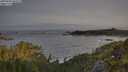 ./images/calvert/foggy-cove/20250605/foggy-cove20250605_062509M.jpg