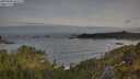 ./images/calvert/foggy-cove/20250605/foggy-cove20250605_065507M.jpg