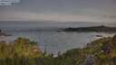 ./images/calvert/foggy-cove/20250605/foggy-cove20250605_070509M.jpg