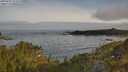 ./images/calvert/foggy-cove/20250605/foggy-cove20250605_073510M.jpg