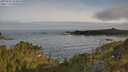 ./images/calvert/foggy-cove/20250605/foggy-cove20250605_074010M.jpg