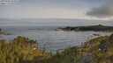 ./images/calvert/foggy-cove/20250605/foggy-cove20250605_074508M.jpg
