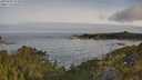 ./images/calvert/foggy-cove/20250605/foggy-cove20250605_075010M.jpg
