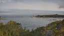./images/calvert/foggy-cove/20250605/foggy-cove20250605_080509M.jpg