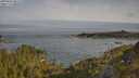 ./images/calvert/foggy-cove/20250605/foggy-cove20250605_081510M.jpg