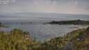 ./images/calvert/foggy-cove/20250605/foggy-cove20250605_082007M.jpg