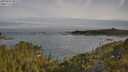 ./images/calvert/foggy-cove/20250605/foggy-cove20250605_082510M.jpg