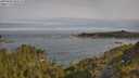 ./images/calvert/foggy-cove/20250605/foggy-cove20250605_084510M.jpg