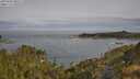 ./images/calvert/foggy-cove/20250605/foggy-cove20250605_090508M.jpg