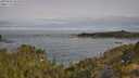 ./images/calvert/foggy-cove/20250605/foggy-cove20250605_091010M.jpg