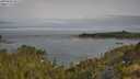 ./images/calvert/foggy-cove/20250605/foggy-cove20250605_091510M.jpg