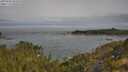 ./images/calvert/foggy-cove/20250605/foggy-cove20250605_092010M.jpg