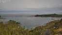 ./images/calvert/foggy-cove/20250605/foggy-cove20250605_092509M.jpg