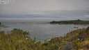 ./images/calvert/foggy-cove/20250605/foggy-cove20250605_093010M.jpg