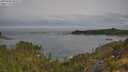 ./images/calvert/foggy-cove/20250605/foggy-cove20250605_093509M.jpg