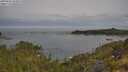 ./images/calvert/foggy-cove/20250605/foggy-cove20250605_094009M.jpg