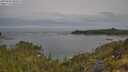 ./images/calvert/foggy-cove/20250605/foggy-cove20250605_094508M.jpg