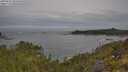 ./images/calvert/foggy-cove/20250605/foggy-cove20250605_095010M.jpg