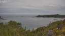 ./images/calvert/foggy-cove/20250605/foggy-cove20250605_095508M.jpg