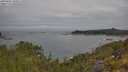 ./images/calvert/foggy-cove/20250605/foggy-cove20250605_100011M.jpg