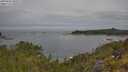 ./images/calvert/foggy-cove/20250605/foggy-cove20250605_100509M.jpg