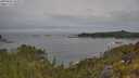 ./images/calvert/foggy-cove/20250605/foggy-cove20250605_101009M.jpg