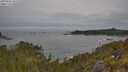 ./images/calvert/foggy-cove/20250605/foggy-cove20250605_101510M.jpg