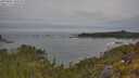 ./images/calvert/foggy-cove/20250605/foggy-cove20250605_102509M.jpg