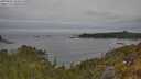 ./images/calvert/foggy-cove/20250605/foggy-cove20250605_103010M.jpg