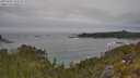 ./images/calvert/foggy-cove/20250605/foggy-cove20250605_104510M.jpg