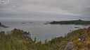 ./images/calvert/foggy-cove/20250605/foggy-cove20250605_105010M.jpg