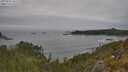 ./images/calvert/foggy-cove/20250605/foggy-cove20250605_105510M.jpg