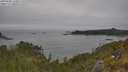./images/calvert/foggy-cove/20250605/foggy-cove20250605_110011M.jpg