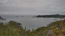./images/calvert/foggy-cove/20250605/foggy-cove20250605_110508M.jpg