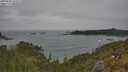 ./images/calvert/foggy-cove/20250605/foggy-cove20250605_115508M.jpg