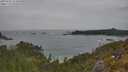 ./images/calvert/foggy-cove/20250605/foggy-cove20250605_122010M.jpg