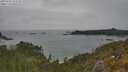 ./images/calvert/foggy-cove/20250605/foggy-cove20250605_122510M.jpg