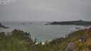 ./images/calvert/foggy-cove/20250605/foggy-cove20250605_123509M.jpg