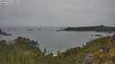 ./images/calvert/foggy-cove/20250605/foggy-cove20250605_124009M.jpg